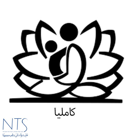بیمارستان کاملیا