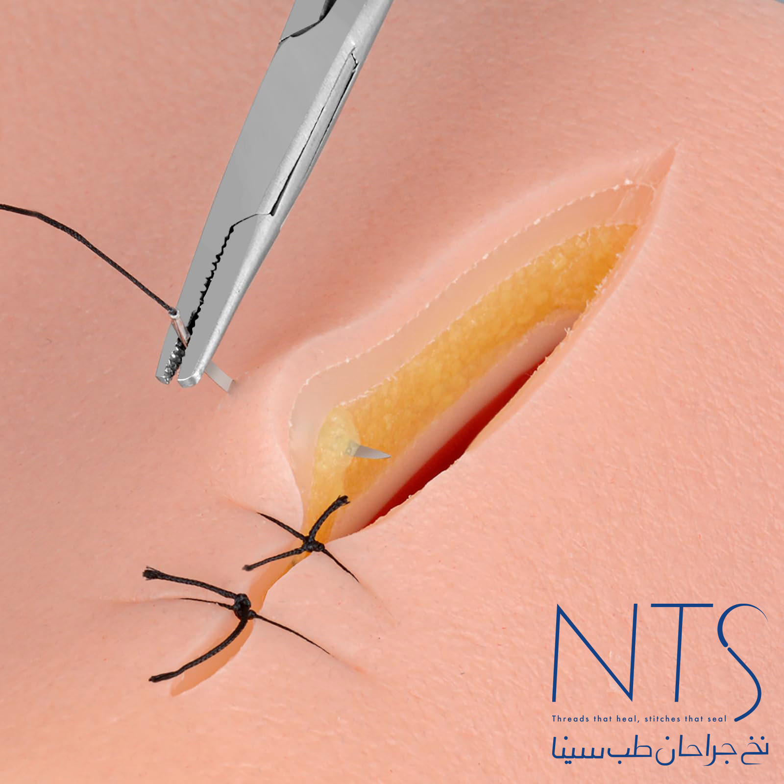 تمرین بخیه زدن